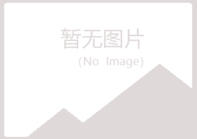 日照岚山海云会计有限公司